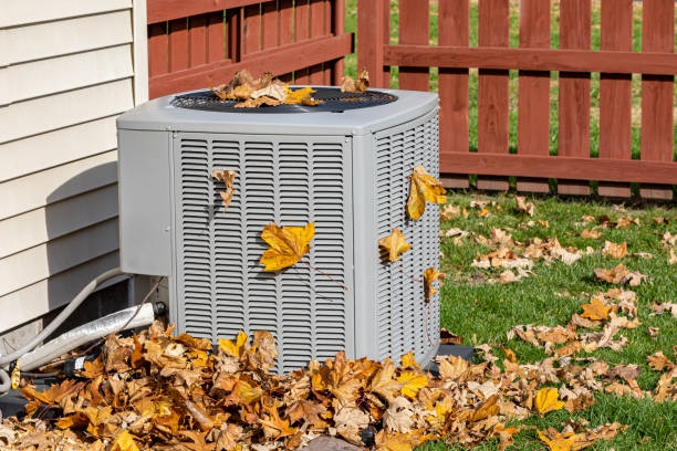 Best Thermostats and Smart Controls in Dunbar, SC